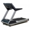 Профессиональная беговая дорожка AeroFit PRO 9900T - 2