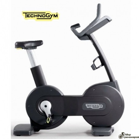 Вертикальный велотренажер TECHNOGYM Bike 700 VISIOWEB