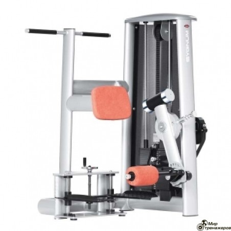 SYGNUM Standing Leg Curl
